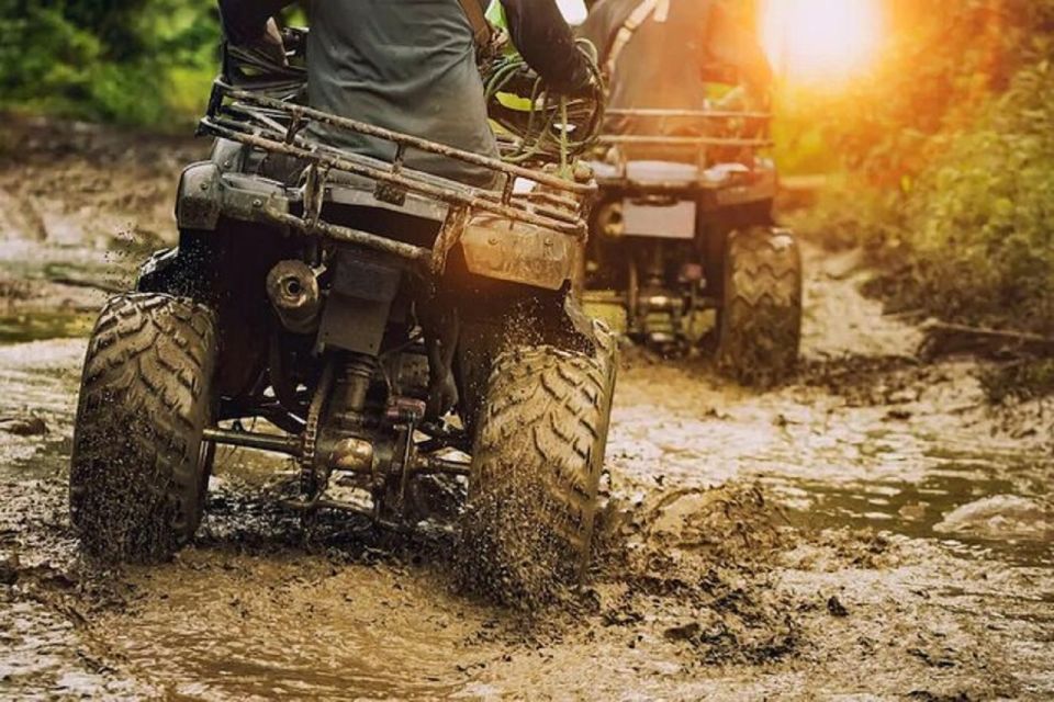 ATV Adventure at Green Island Private Tour From Montego Bay - Suitable for Riders