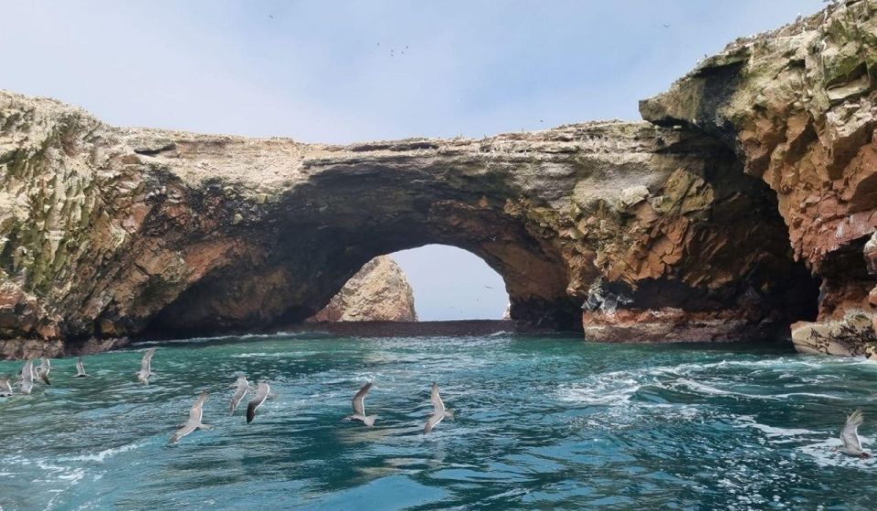 ATV Adventure Ballestas Island and Paracas National Reserve - Highlights of the Tour