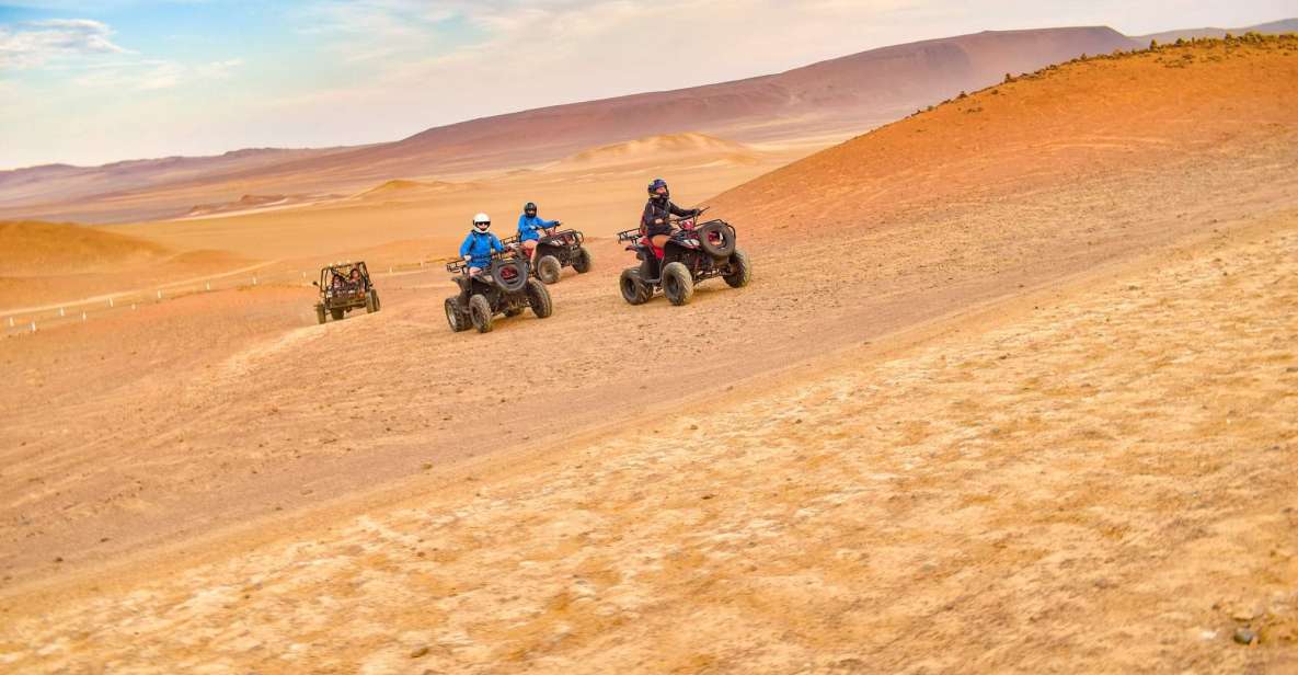 ATV Adventure Ballestas Island and Paracas National Reserve - Inclusions and What to Expect