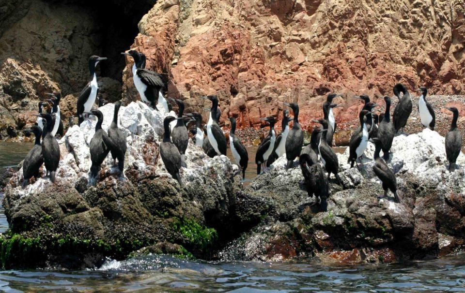 ATV Adventure Ballestas Island and Paracas National Reserve - Frequently Asked Questions