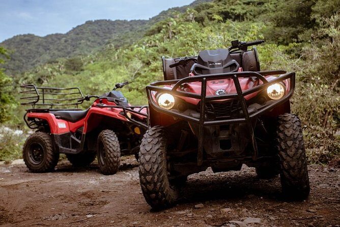 ATV Adventure in the Jungle - Shared - A Detailed Look at What You Can Expect