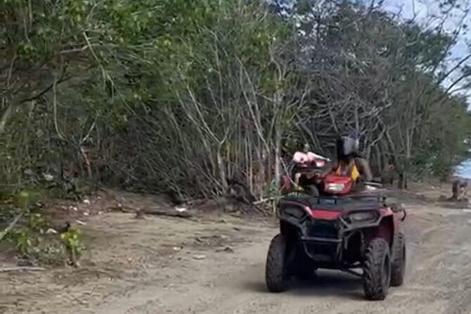 ATV Adventure Ride in Ocho Rios Jamaica with Jerk Chicken Lunch - Who Will Love This Tour?