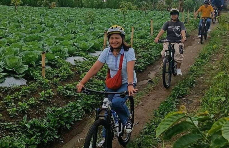 ATV Adventure & Scenic Cycling Tour in Bali - Who Should Consider This Tour?