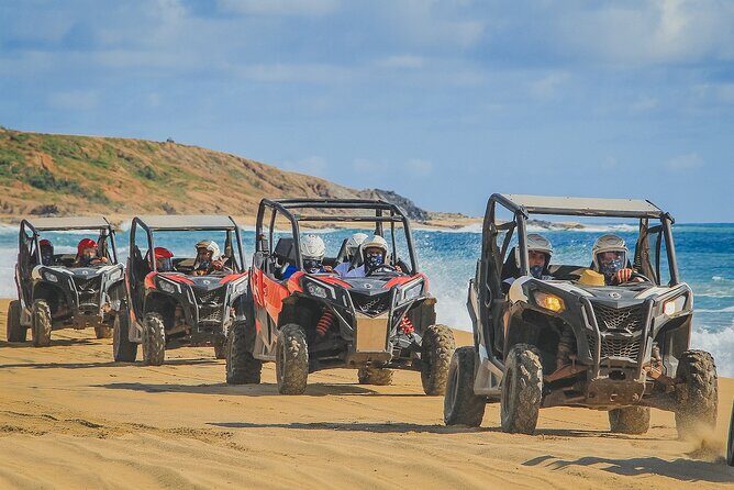 ATV and Camel Ride Combo Adventure in Los Cabos - Who Will Love This Tour?