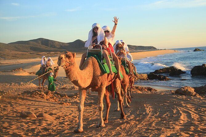 ATV and Camel Ride Combo Adventure in Los Cabos - The Sum Up