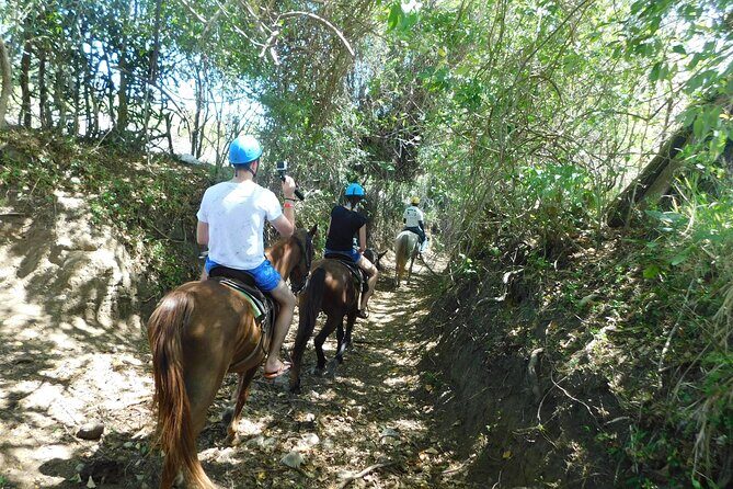 ATV and Horse Riding in Puerto Plata / Shore Excursion & Hotel - Frequently Asked Questions