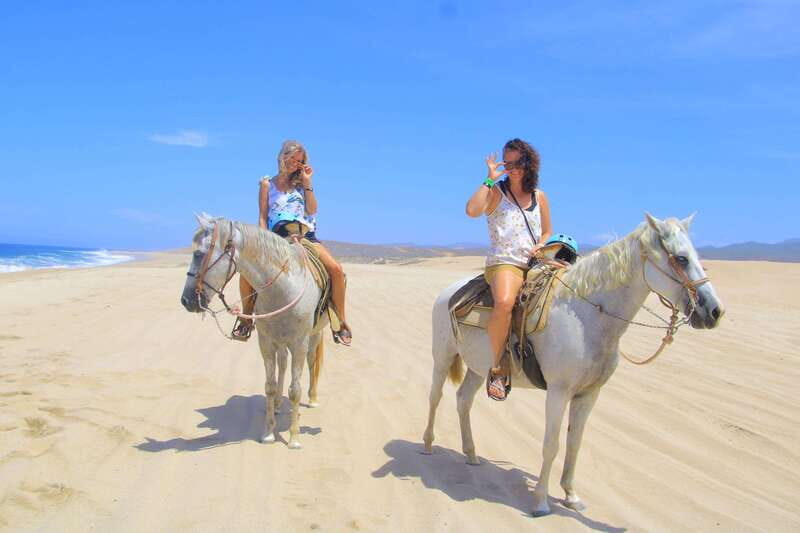ATV Automatic 4X4 & Horseback riding in Cabo by Cactus Tours - Introduction: A Dual Adventure in Baja