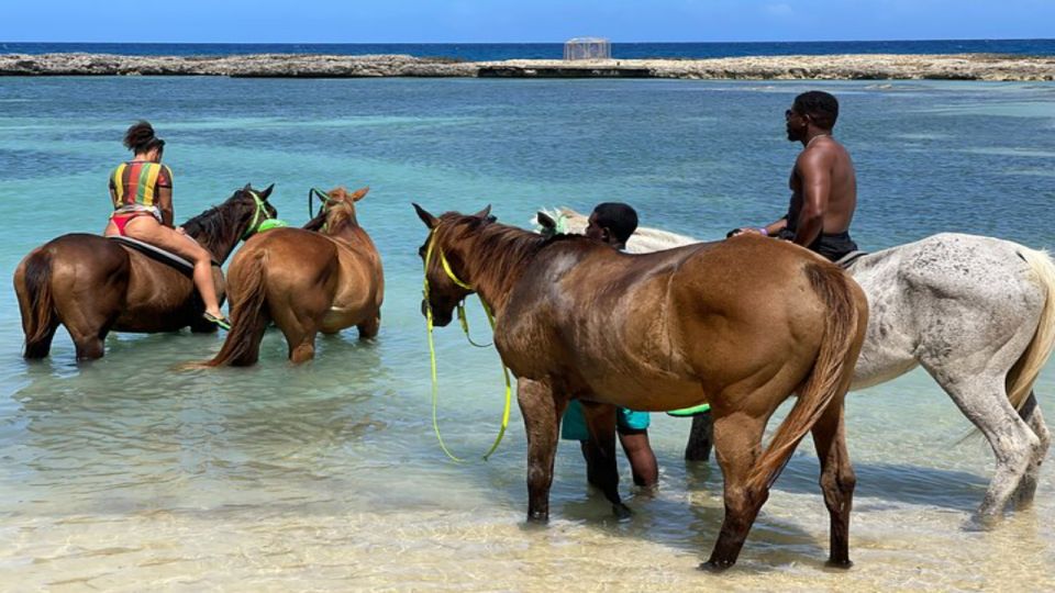 ATV, Bamboo Rafting & Horseback Ride Tour From Montego Bay - Stunning Landscapes