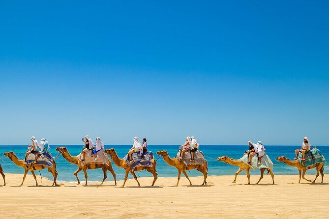 ATV & Camel Ride Tour on Migriño Beach - The Itinerary: What to Expect