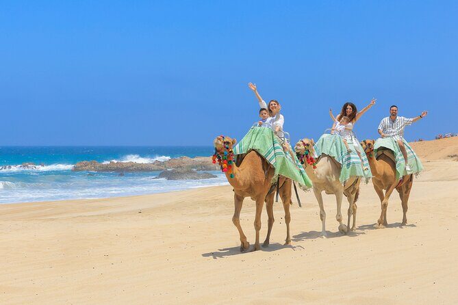ATV & Camel Ride Tour on Migriño Beach - Who Would Love This Tour?