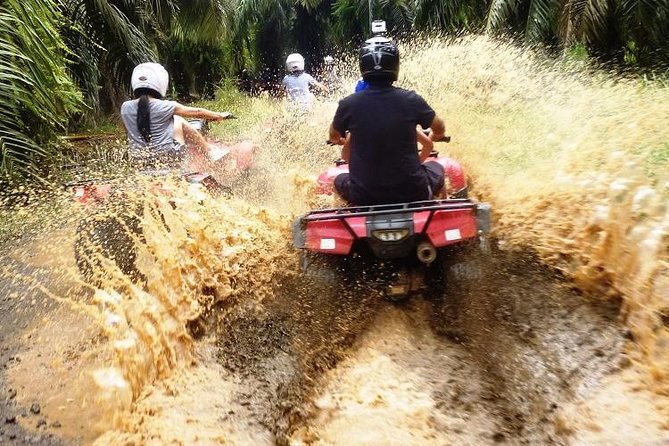 ATV & Canopy Tour From Flamingo Beach - Good To Know
