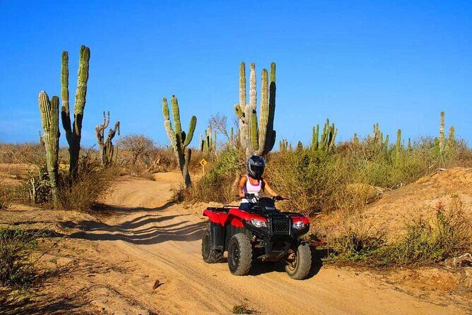 ATV Desert Adventures and Beach in Los Cabos with Tequila Tasting - Authenticity and Cultural Touchpoints