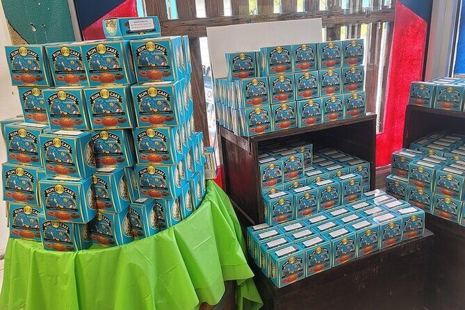 Atv Guided Tours Nassau Bahamas - The Sum Up: Is This Tour for You?