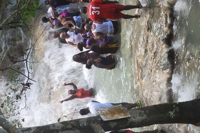 ATV, Horseback and Dunns River Falls Experience - Reviews