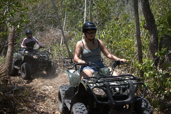 ATV Mangrove Adventure - An In-Depth Look at the ATV Mangrove Adventure