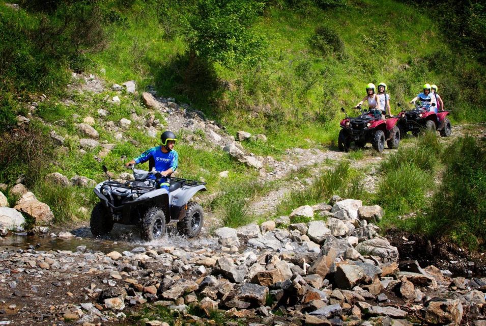 ATV Prato Fiorito Yamaha Kodiak 700 - Pricing Information