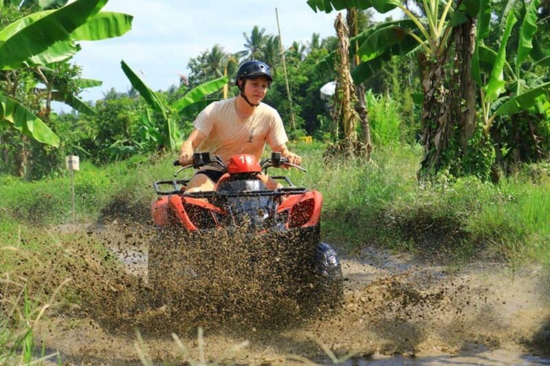 ATV Quad Bike Bali With Waterfall Gorilla Cave and Lunch - Itinerary Highlights