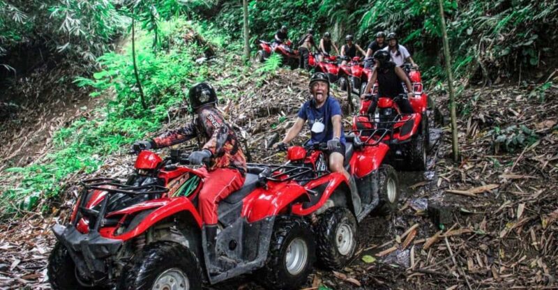 ATV Quad Bike Bali With Waterfall Gorilla Cave and Lunch - Inclusions and Exclusions