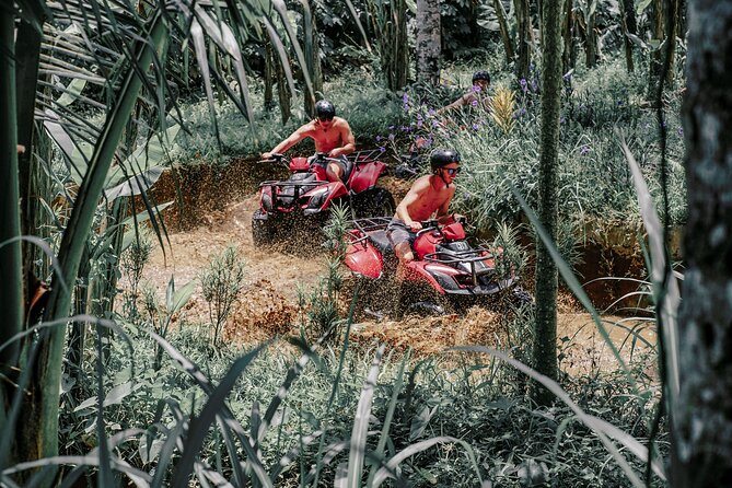 ATV Quad Bike Bali With Waterfall Gorilla Cave and Lunch - Exploring the Countryside Near Ubud