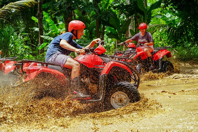 ATV Quad Bike Bali With Waterfall Gorilla Cave and Lunch - Scenic Sights Along the Tour Route