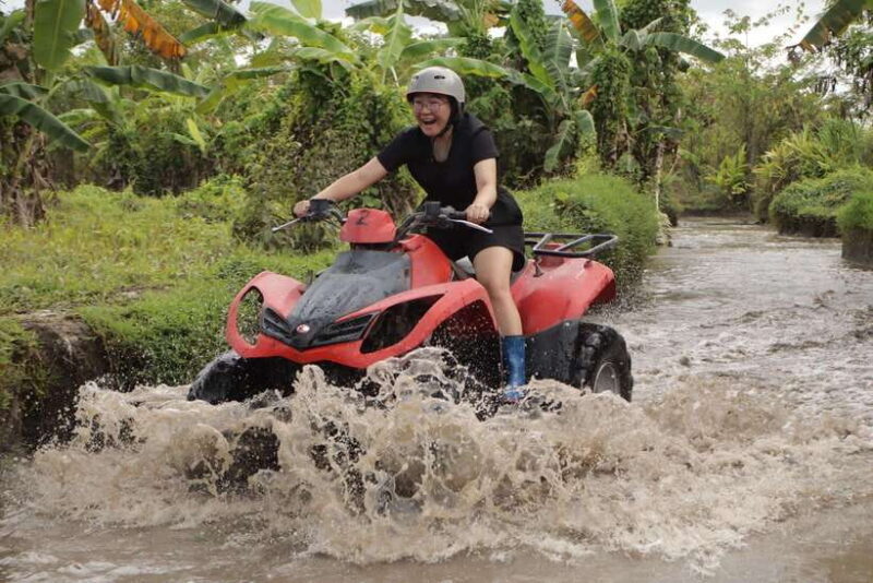 atv quad bike ubud - Key Points  