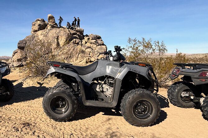 ATV Rentals Thrilling Desert Adventures - A Close Look at the Experience