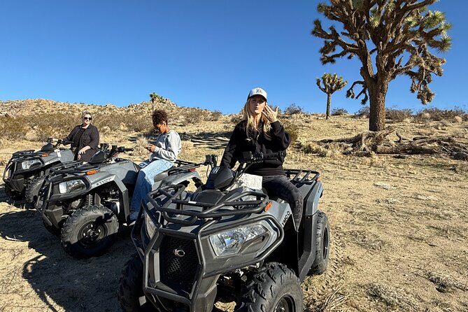 ATV Rentals Thrilling Desert Adventures - Who Will Love This Tour?