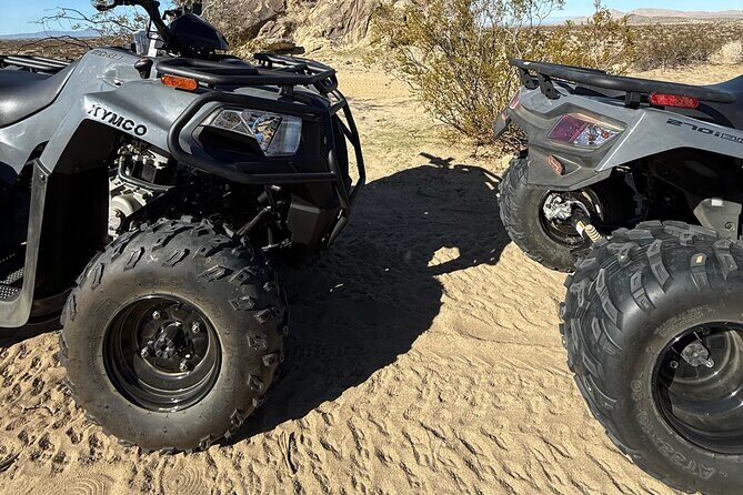 ATV Rentals Thrilling Desert Adventures - Final Thoughts