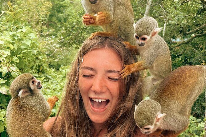 ATV Ride Plus Monkeys in puerto plata - Who Would Love This Tour?