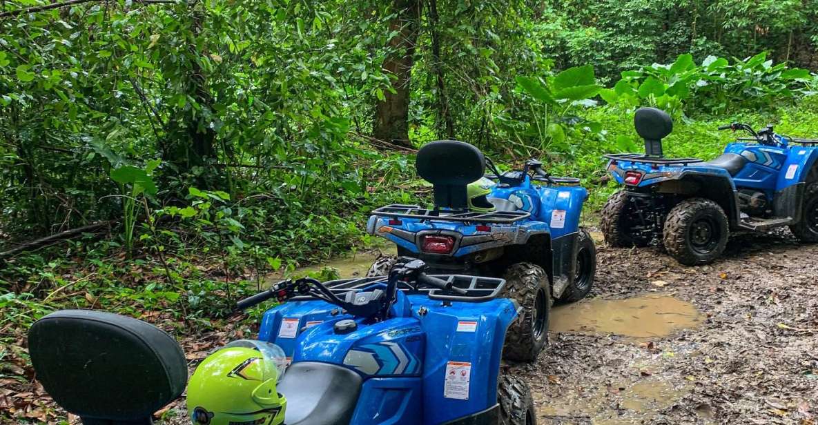 Atv, Seven Mile Beach and Rick's Cafe Tour & Transportation - Key Points