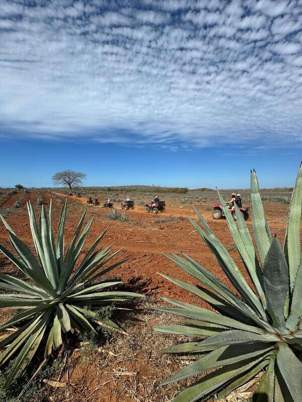 ATV & TEMAZCAL COMBO TOUR - FAQ