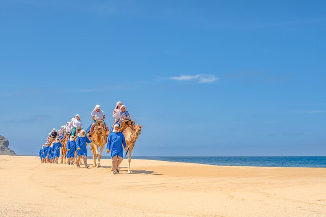 ATV Tour, Camel Ride, Tequila Tasting and Mexican Buffet Lunch - Customer Feedback and Experiences