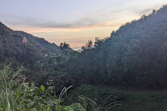 ATV Tour: Eco Friendly Scenic Bellwood Layou Rainforest - A Closer Look at the Bellwood Layou Rainforest ATV Tour