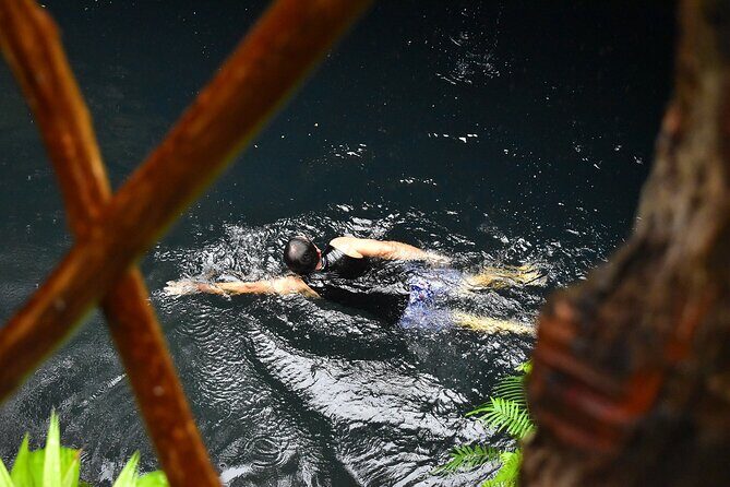 Atv Tour In Cancun (swim Cenote, Tarzan Jump And 5 Ziplines Included) - Zipline Circuit: Flying Through the Treetops