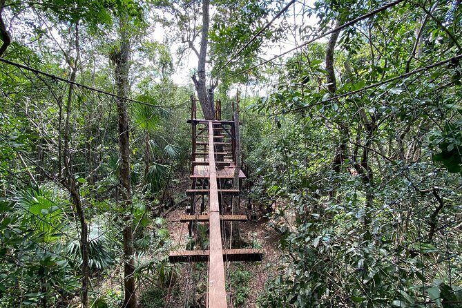 ATV Tour in Playa del Carmen with Zip Lines - What to Expect from the Journey: A Complete Breakdown