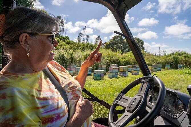 ATV Tour to Buddha Cup Coffee Farm - Who Should Book This Tour?