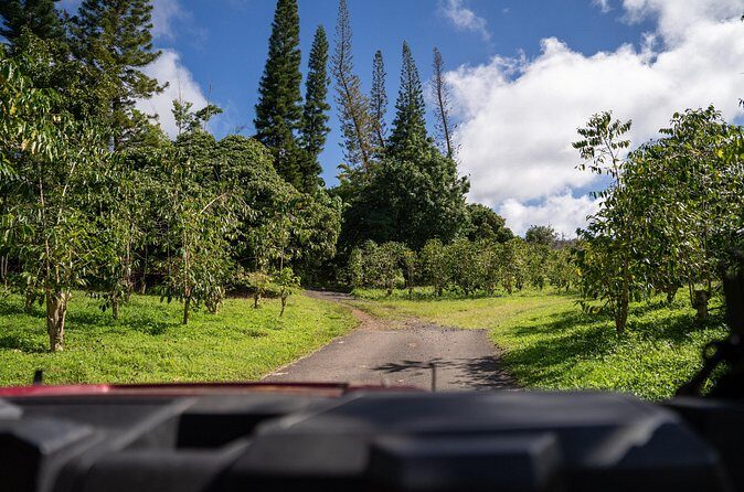 ATV Tour to Buddha Cup Coffee Farm - FAQ
