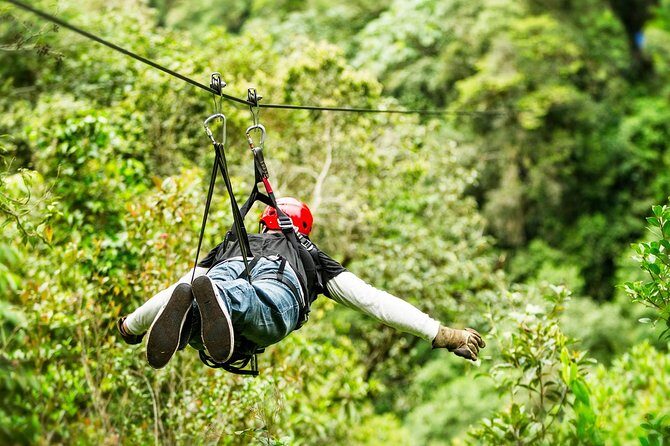 Atv , ziplines and cenote jungle adventure - Final thoughts: who should consider this tour?