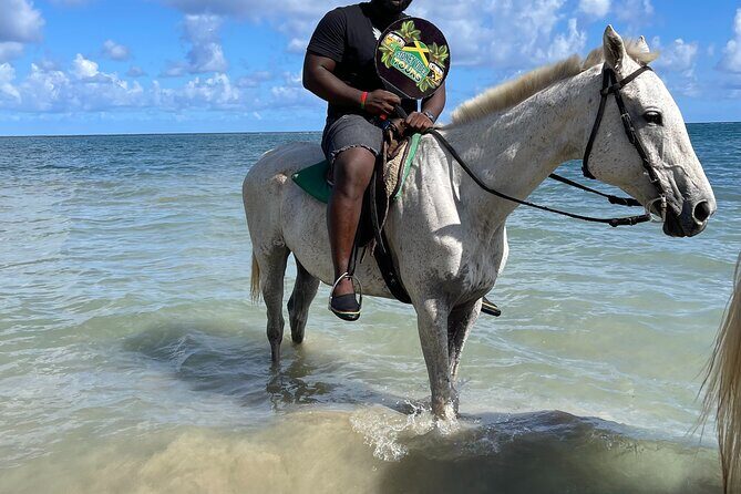 ATVS and Quad Biking Horseback Riding and Ricks Cafe - Value and Practicalities