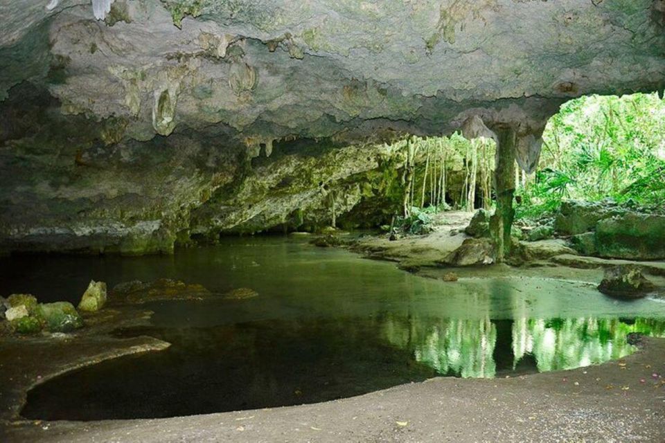 Atv's Cenotes - Cenote Discoveries