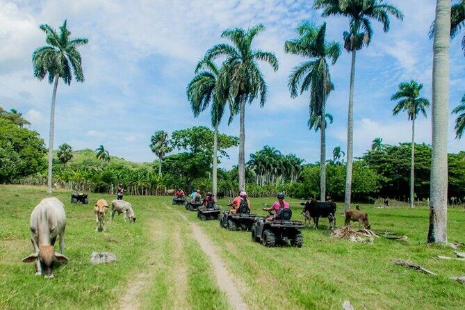 ATVs Fun Tour from Amber Cove and Taino Bay Puerto Plata - The Remote Mountain River