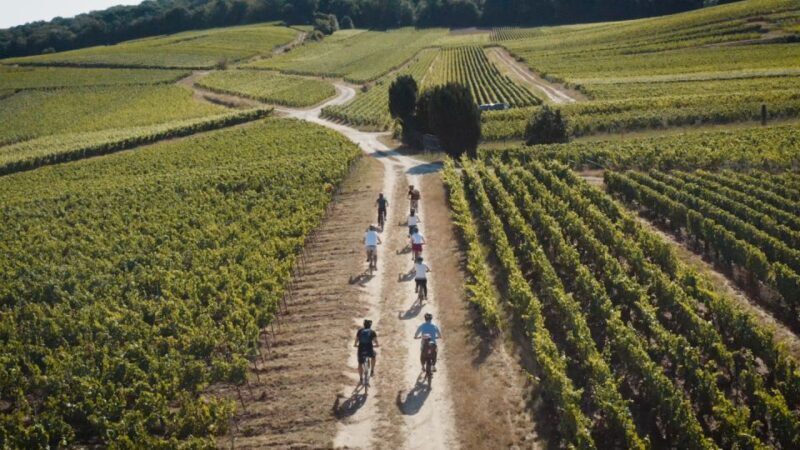 Au départ de REIMS : Ebike tour with a local guide ! - The Sum Up: Who Should Book This Tour?
