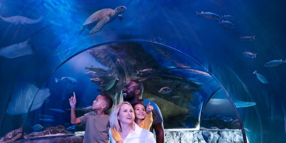 Auburn Hills: Legoland and Sea Life Aquarium Combo Ticket - Age and Supervision Requirements