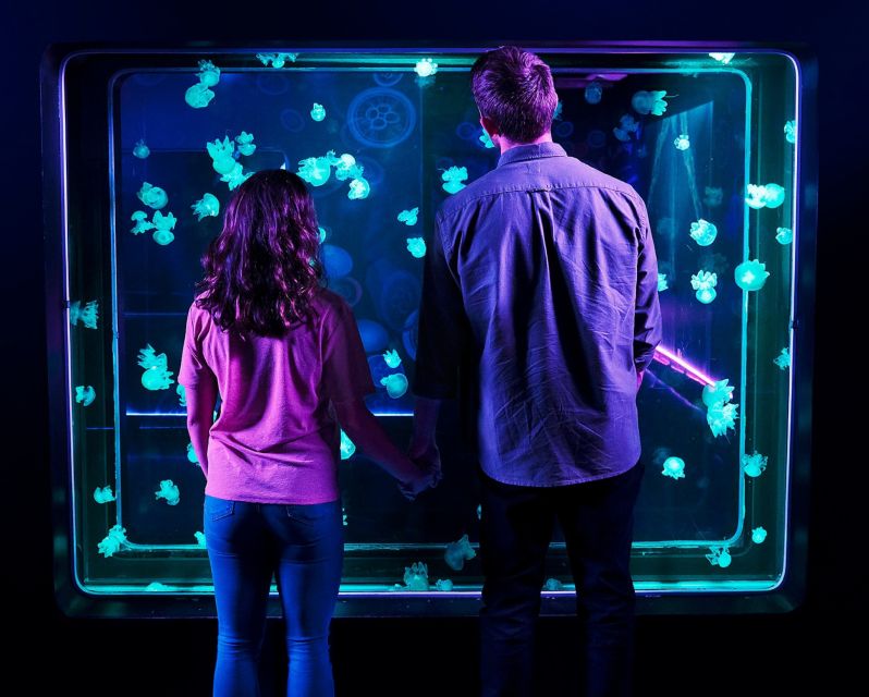Auburn Hills: Legoland and Sea Life Aquarium Combo Ticket - Additional Information to Note
