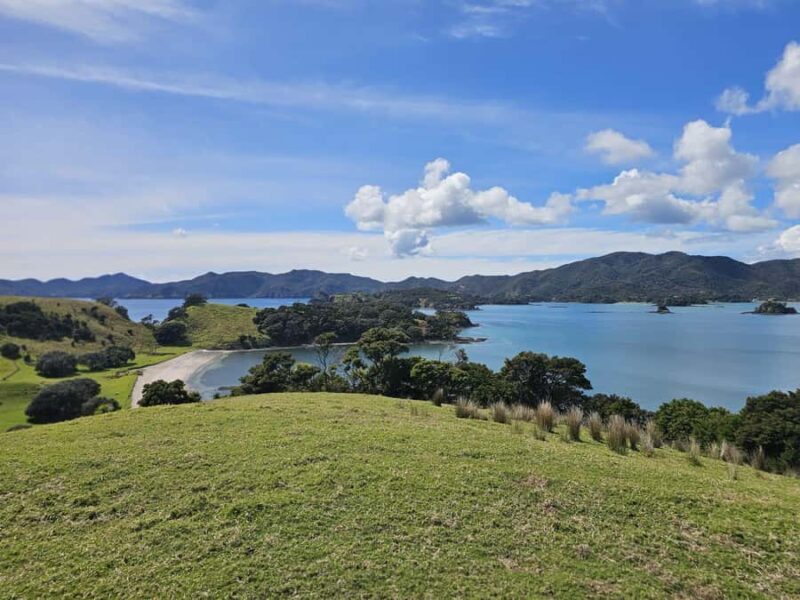 Auckland: 2-Day Bay of Islands Small Group Tour with Cruise - The Sum Up