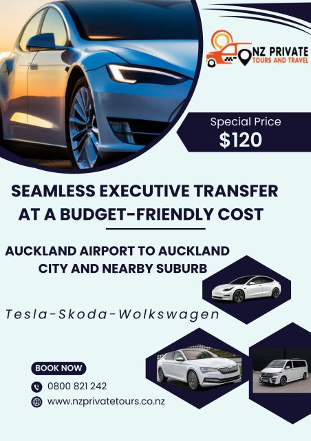 Auckland Airport Taxi: Private Transfer One Direction - Travel Experience Highlights
