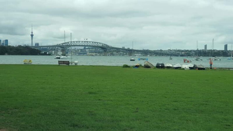 Auckland: Auckland City Tour 4 hours private - An In-Depth Look at What to Expect