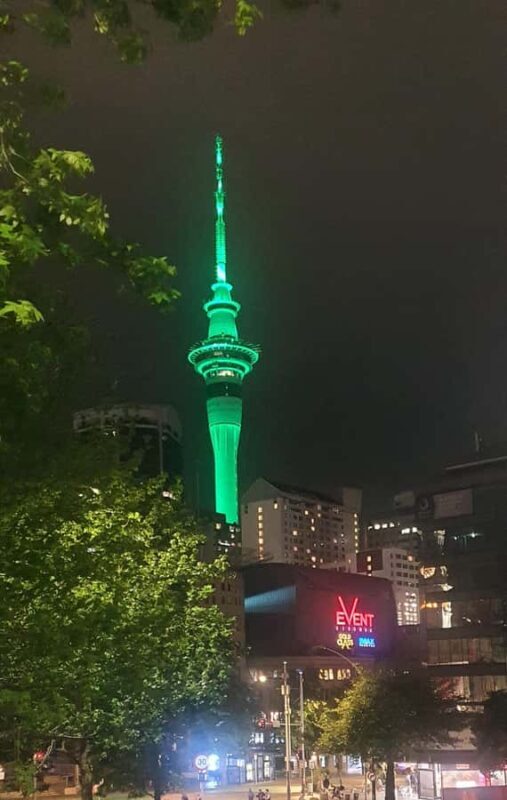 Auckland: Auckland City Tour 4 hours private - Who Should Book This Tour?