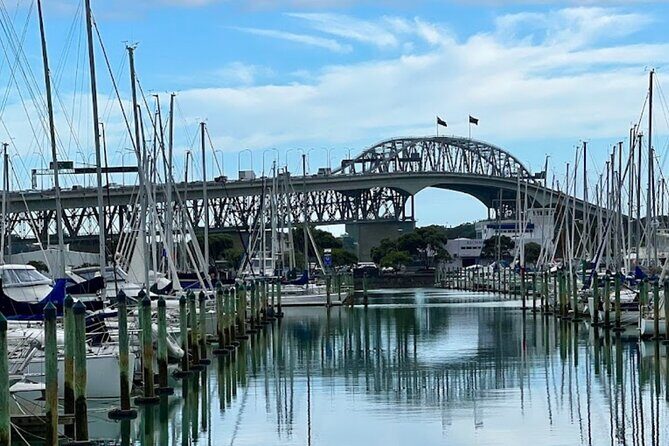 Auckland Best Top 5 Spots Half day Tour - The Sum Up: Who’s This Tour For?