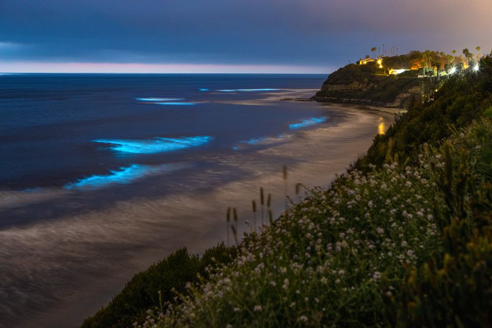 Auckland: Bioluminescence Kayak Tour by Night With Tuition - Experience Highlights